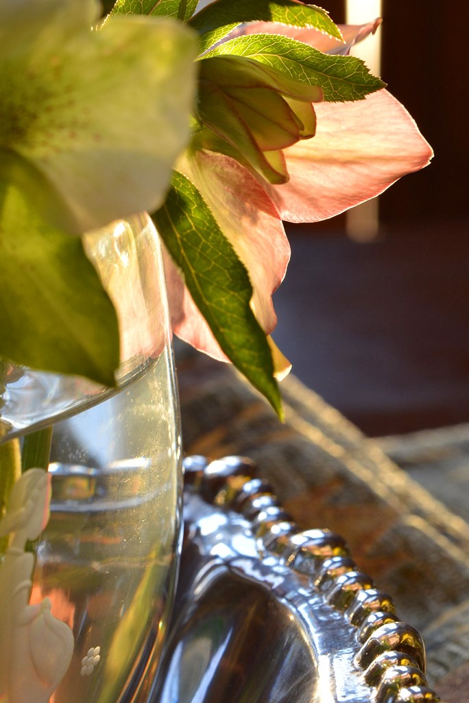 Morning flower in silver