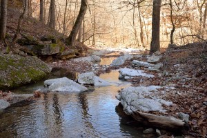 Copy - DSC_5188_607_sm