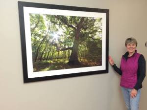 10943109_10153004641456550_8152844269613482935_n