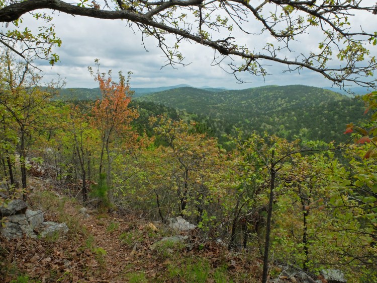 A beautiful vista from the ridgeline