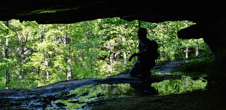 Bill surveys the hollow