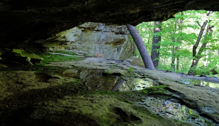 View from a crevice in Hideout Hollow