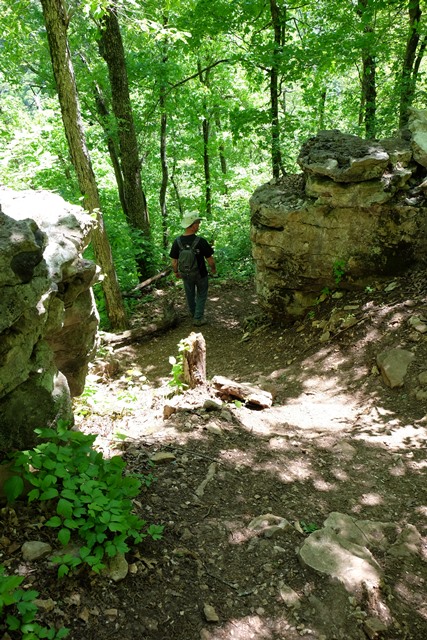 Bill hiking down the steep Hemmed-In Hollow Trail