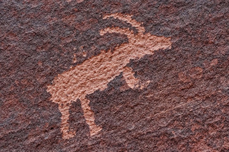 One of several petroglyphs at the confluence of Wire Pass and Buckskin Gulch