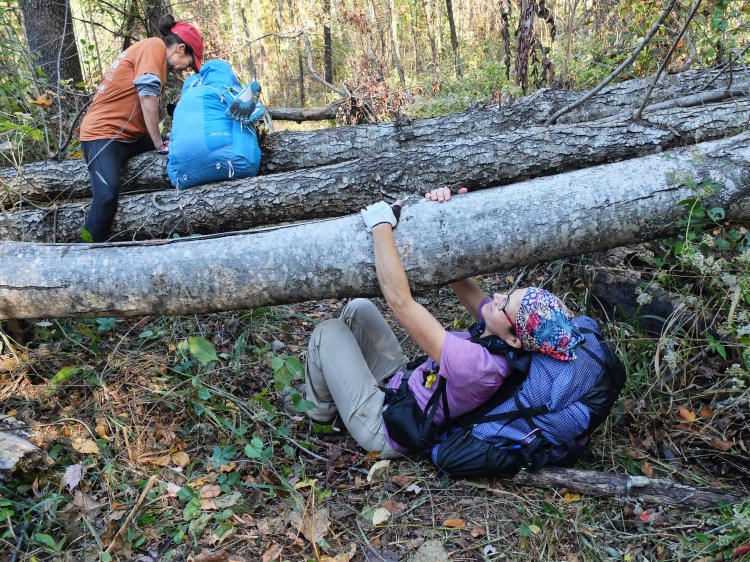Jan and Pam negotiate deadfall on the trail. There were many trees down across the trail, especially on Section 2.